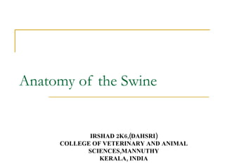 Anatomy of the Swine IRSHAD 2K6,(DAHSRI) COLLEGE OF VETERINARY AND ANIMAL SCIENCES,MANNUTHY KERALA, INDIA 