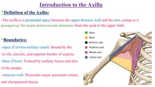 Anatomy of the Upper Extremity for the 1-Year PT SVU Students.pdf