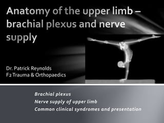 Dr. Patrick Reynolds 
F2 Trauma & Orthopaedics 
Brachial plexus 
Nerve supply of upper limb 
Common clinical syndromes and presentation 
 