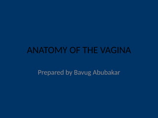 anatomy-of-the-vagina-presentation-improved-pptx