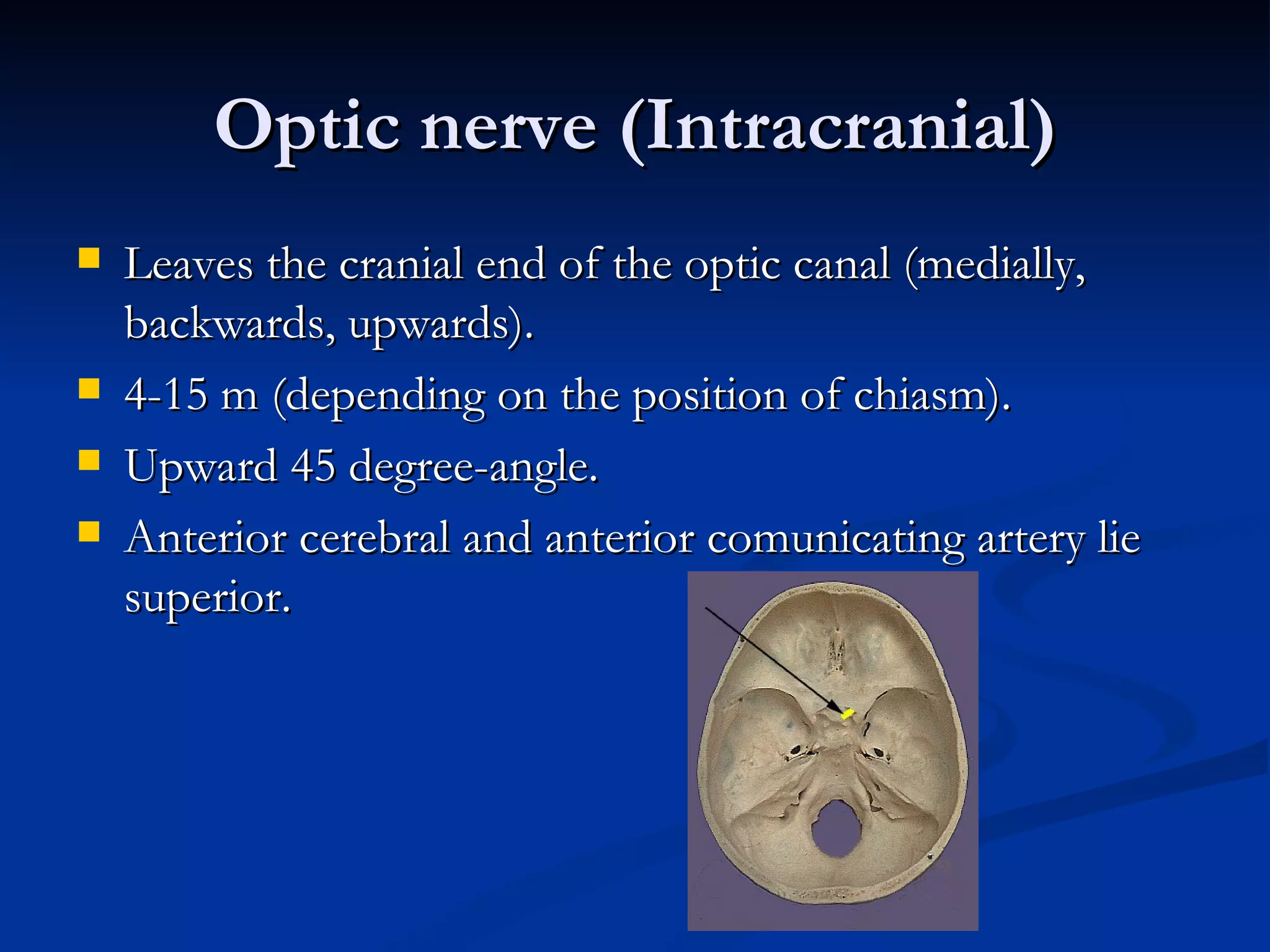 Optic nerve (Intracranial)
   Leaves the cranial end of the optic canal (medially,
    backwards, upwards).
   4-15 m (depending on the position of chiasm).
   Upward 45 degree-angle.
   Anterior cerebral and anterior comunicating artery lie
    superior.
 