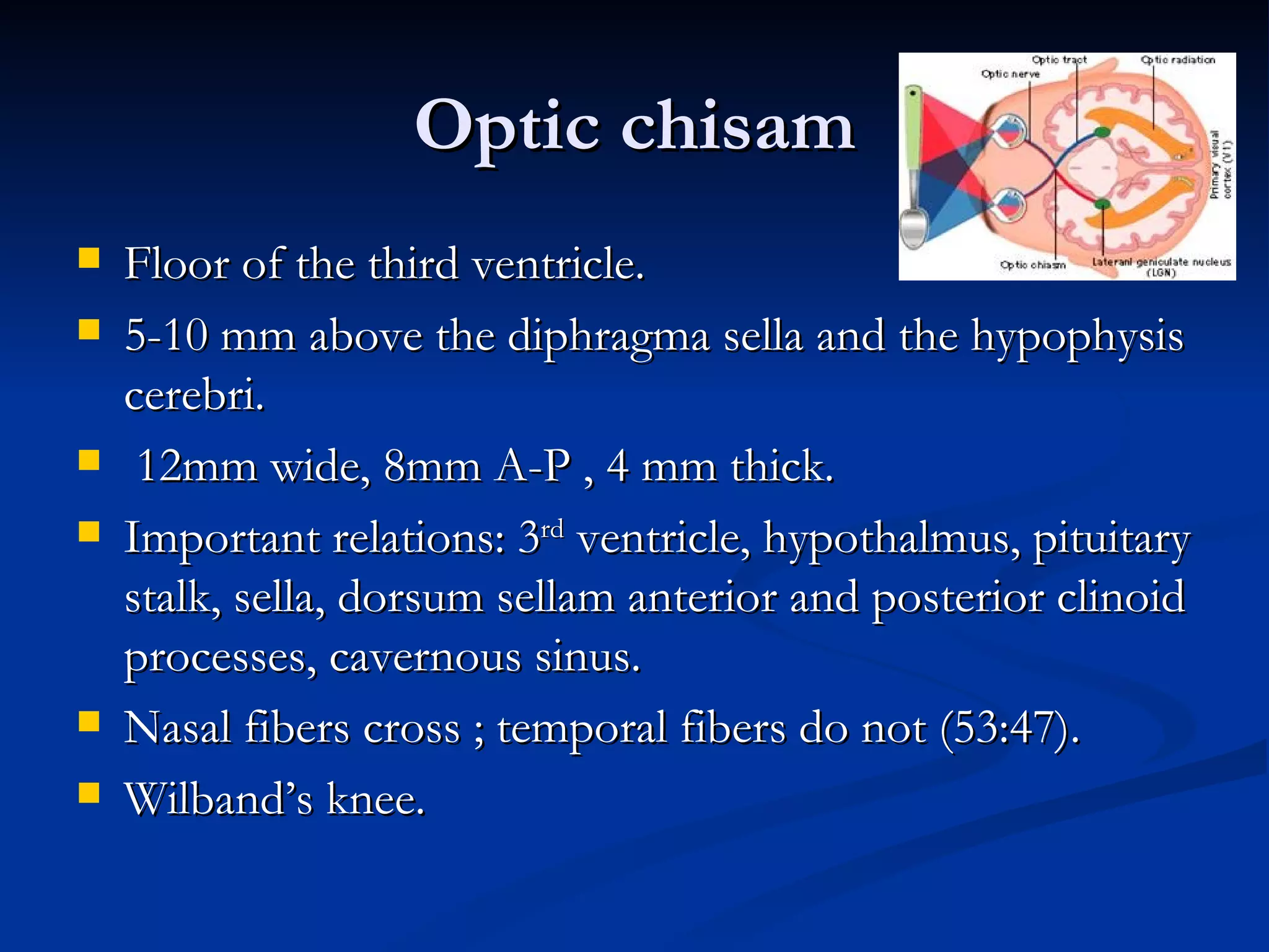 Optic chisam
   Floor of the third ventricle.
   5-10 mm above the diphragma sella and the hypophysis
    cerebri.
    12mm wide, 8mm A-P , 4 mm thick.
   Important relations: 3rd ventricle, hypothalmus, pituitary
    stalk, sella, dorsum sellam anterior and posterior clinoid
    processes, cavernous sinus.
   Nasal fibers cross ; temporal fibers do not (53:47).
   Wilband’s knee.
 