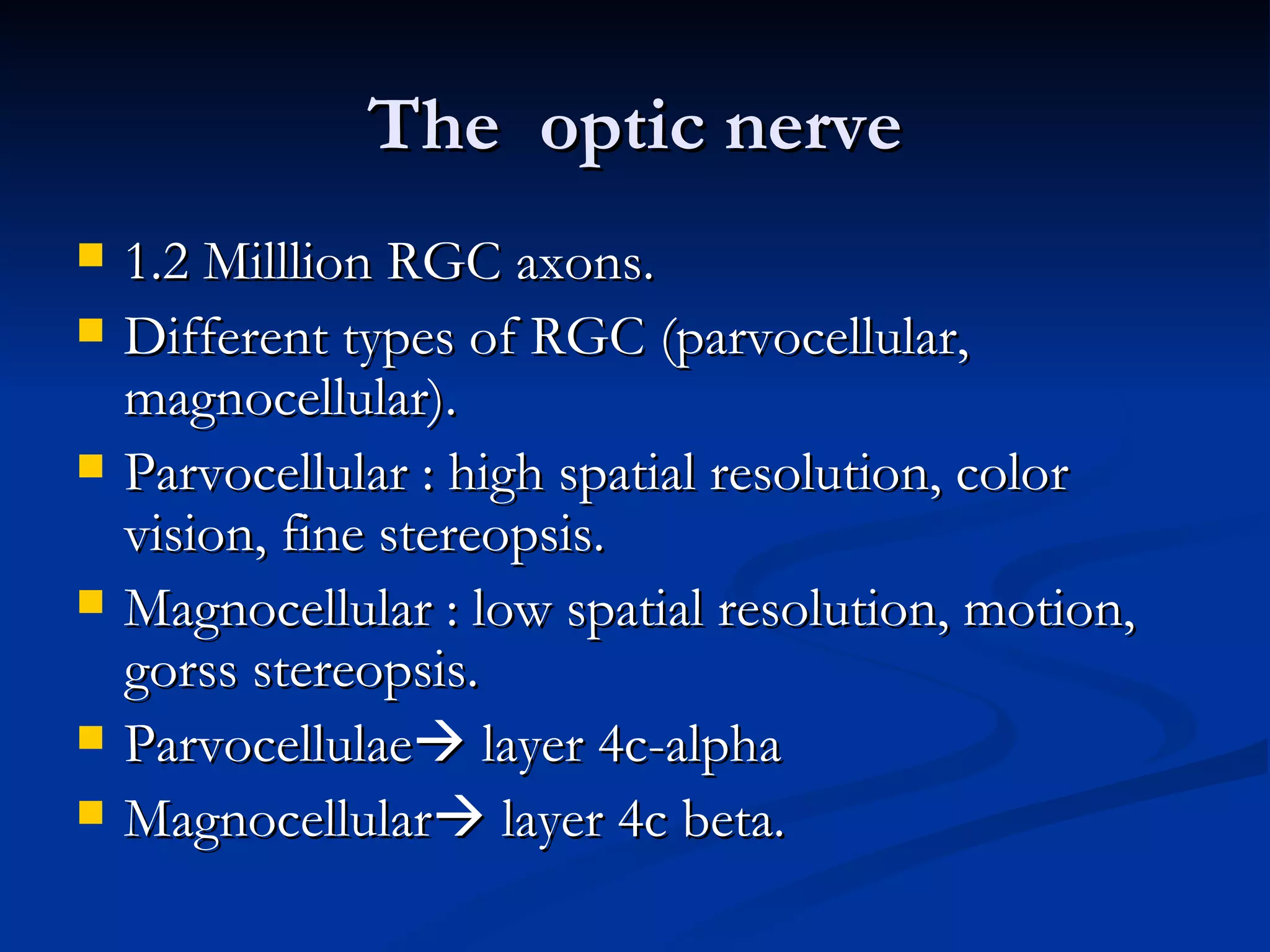 The optic nerve
   1.2 Milllion RGC axons.
   Different types of RGC (parvocellular,
    magnocellular).
   Parvocellular : high spatial resolution, color
    vision, fine stereopsis.
   Magnocellular : low spatial resolution, motion,
    gorss stereopsis.
   Parvocellulae layer 4c-alpha
   Magnocellular layer 4c beta.
 