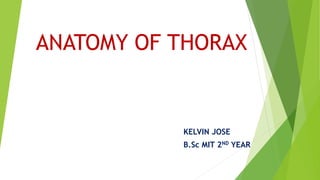 ANATOMY OF THORAX
KELVIN JOSE
B.Sc MIT 2ND YEAR
 
