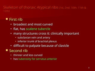 Comprehensive Anatomy of the Thorax: Structure and Function | PPT