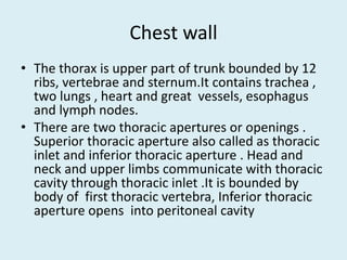 Anatomy of thorax (2) | PPTX