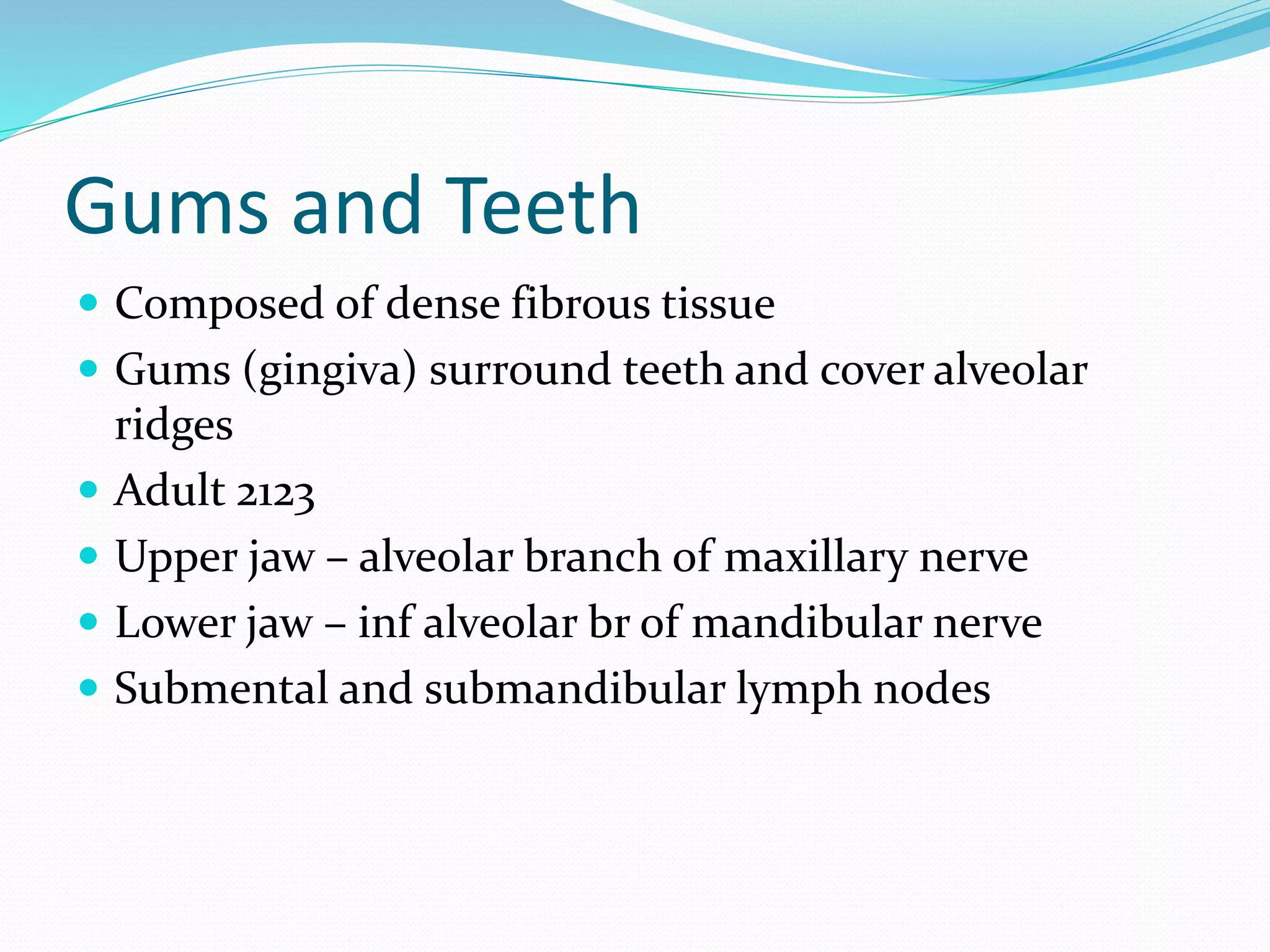 Anatomy of throat | PPTX