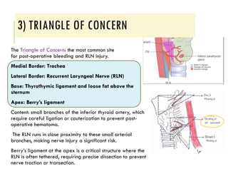 ANATOMY AND PHYSIOLOGY OF THYROID GLAND / TRIANGLEs RELATED TO THYROID ...