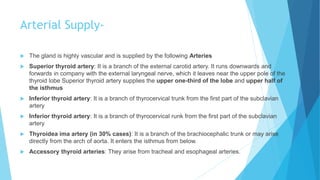 Arterial Supply-
 The gland is highly vascular and is supplied by the following Arteries
 Superior thyroid artery: It is a branch of the external carotid artery. It runs downwards and
forwards in company with the external laryngeal nerve, which it leaves near the upper pole of the
thyroid lobe Superior thyroid artery supplies the upper one-third of the lobe and upper half of
the isthmus
 Inferior thyroid artery: It is a branch of thyrocervical trunk from the first part of the subclavian
artery
 Inferior thyroid artery: It is a branch of thyrocervical runk from the first part of the subclavian
artery
 Thyroidea ima artery (in 30% cases): It is a branch of the brachiocephalic trunk or may arise
directly from the arch of aorta. It enters the isthmus from below.
 Accessory thyroid arteries: They arise from tracheal and esophageal arteries.
 