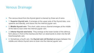 Venous Drainage
 The venous blood from the thyroid gland is drained by three set of veins
 1. Superior thyroid vein: It emerges at the upper pole of the thyroid lobe, runs
upwards and laterally, and drains into the internal jugular vein.
 2. Middle thyroid vein: This short, wide venous channel emerges at the middle
of the lobe to soon enter the internal jugular vein.
 3. Inferior thyroid vein/veins: They emerge at the lower border of the isthmus,
form plexus in front of the trachea and then run downwards to drain into the left
brachiocephalic vein.
 4. Sometimes a fourth vein, the thyroid vein (of Kocher) emerges between the
middle and inferior thyroid veins to drain into the internal jugular vein.
 