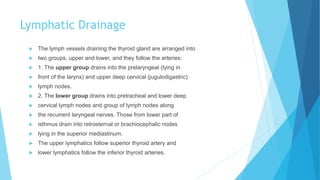 Lymphatic Drainage
 The lymph vessels draining the thyroid gland are arranged into
 two groups, upper and lower, and they follow the arteries:
 1. The upper group drains into the prelaryngeal (lying in
 front of the larynx) and upper deep cervical (jugulodigastric)
 lymph nodes.
 2. The lower group drains into pretracheal and lower deep
 cervical lymph nodes and group of lymph nodes along
 the recurrent laryngeal nerves. Those from lower part of
 isthmus drain into retrosternal or brachiocephalic nodes
 lying in the superior mediastinum.
 The upper lymphatics follow superior thyroid artery and
 lower lymphatics follow the inferior thyroid arteries.
 
