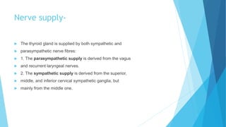 Nerve supply-
 The thyroid gland is supplied by both sympathetic and
 parasympathetic nerve fibres:
 1. The parasympathetic supply is derived from the vagus
 and recurrent laryngeal nerves.
 2. The sympathetic supply is derived from the superior,
 middle, and inferior cervical sympathetic ganglia, but
 mainly from the middle one.
 