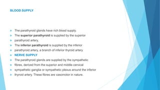 BLOOD SUPPLY
 The parathyroid glands have rich blood supply.
 The superior parathyroid is supplied by the superior
 parathyroid artery,
 The inferior parathyroid is supplied by the inferior
 parathyroid artery, a branch of inferior thyroid artery
 NERVE SUPPLY
 The parathyroid glands are supplied by the sympathetic
 fibres, derived from the superior and middle cervical
 sympathetic ganglia or sympathetic plexus around the inferior
 thyroid artery. These fibres are vasomotor in nature.
 