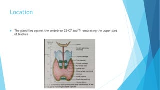 Location
 The gland lies against the vertebrae C5-C7 and T1 embracing the upper part
of trachea
 