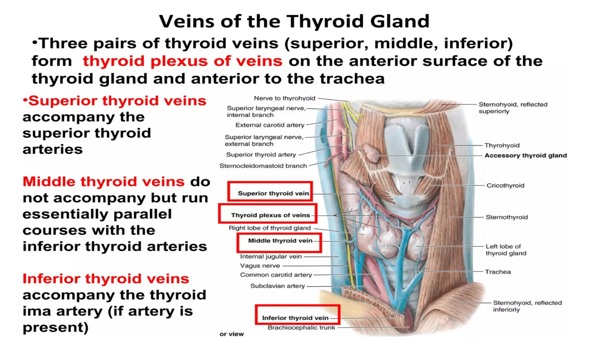 ANATOMY OF THYROID AND PARATHYROID GLAND.pptx