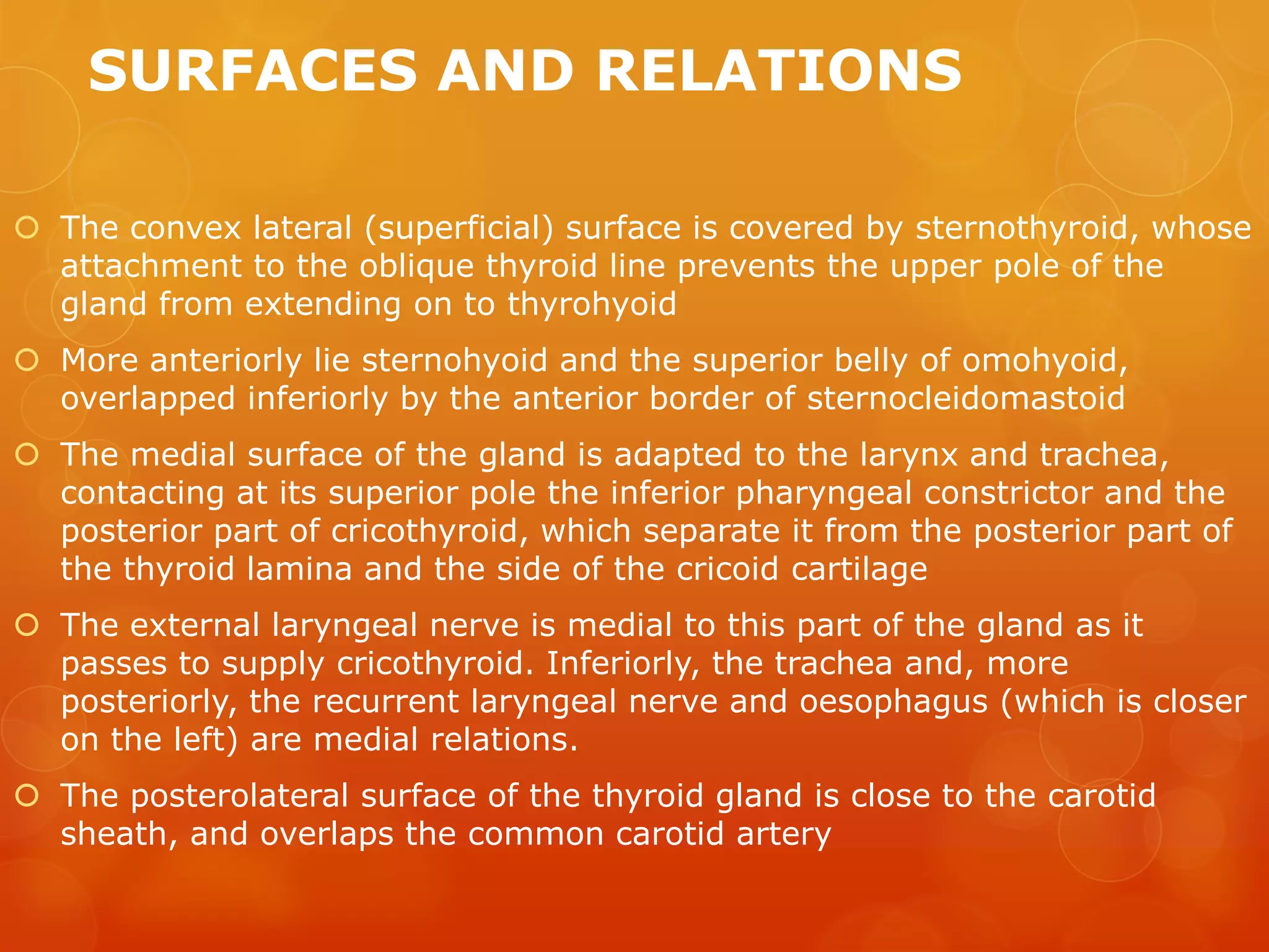 Anatomy of thyroid and parathyroid glands | PPT