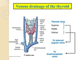 Anatomy of thyroid inter thyrio gland-1.pptx