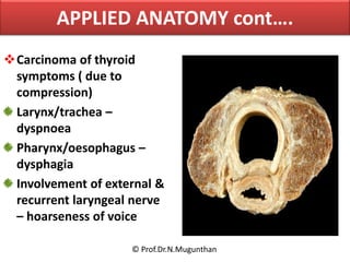 ANATOMY OF THYROID GLAND -Prof. Dr.N.Mugunthan.KMMC