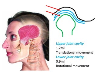 Tmj Over Rotation Anatomy of TMJ | PDF