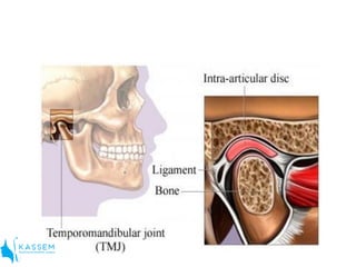 Anatomy of tmj | PDF