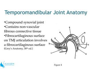 Anatomy of tmj | PDF