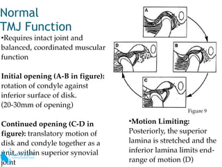 Anatomy of tmj | PDF