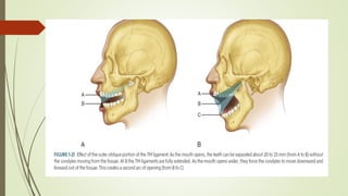 Anatomy of TMJ & its applied anatomy.pptx