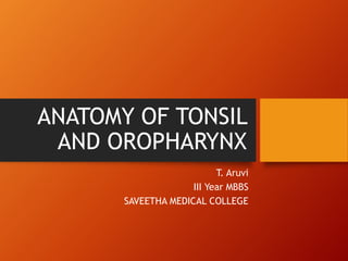 ANATOMY OF TONSIL 
AND OROPHARYNX 
T. Aruvi 
III Year MBBS 
SAVEETHA MEDICAL COLLEGE 
 