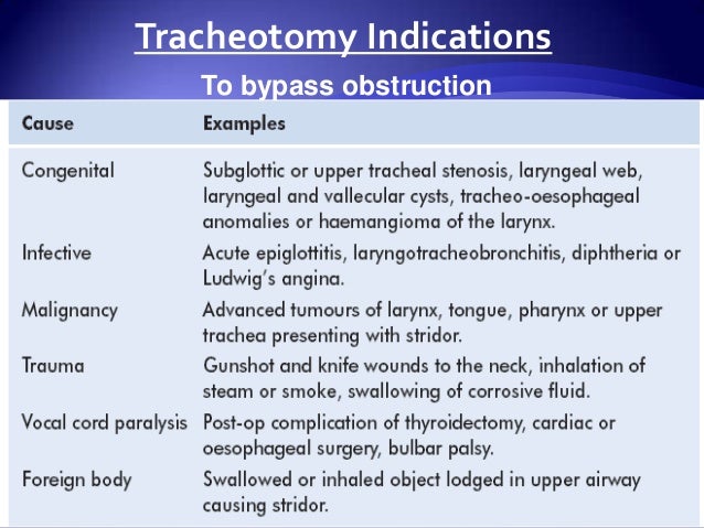 anatomy of trachea tracheostomy tracheostomy anatomy