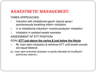 Anatomy of tracheobronchial tree | PPTX