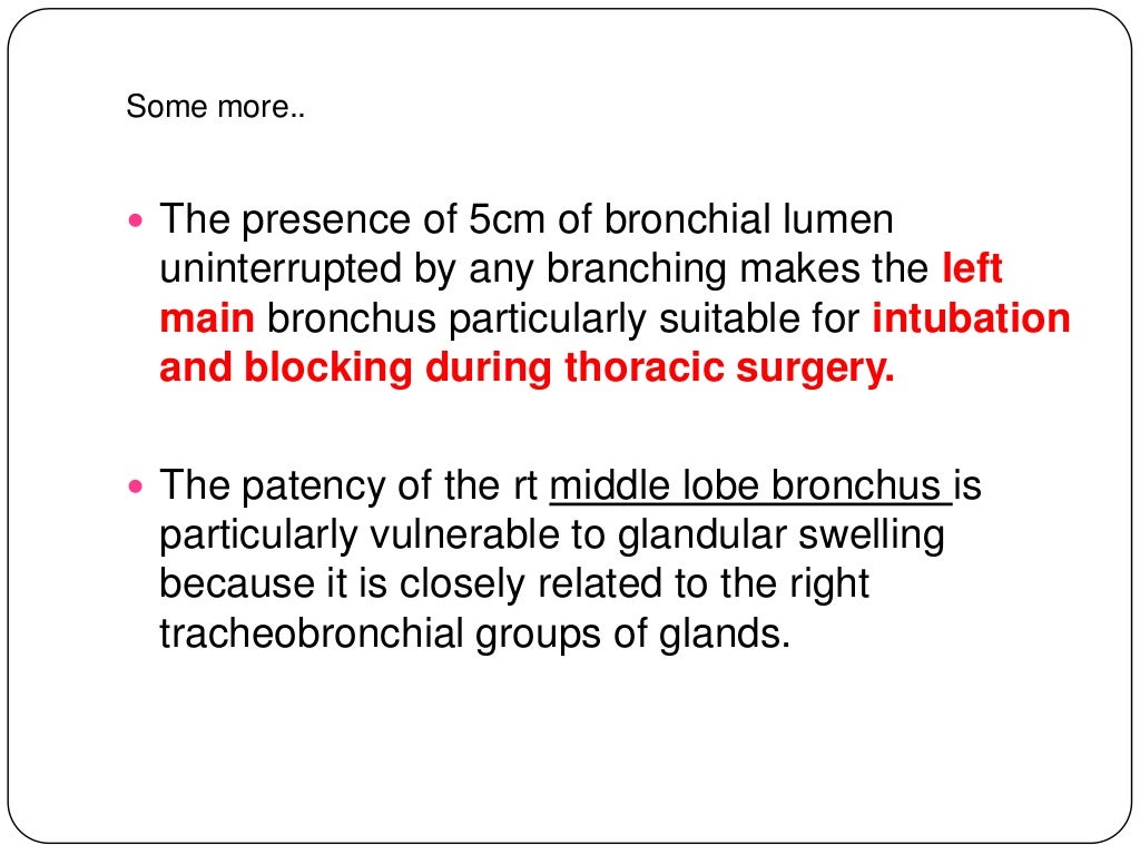 Anatomy of tracheobronchial tree