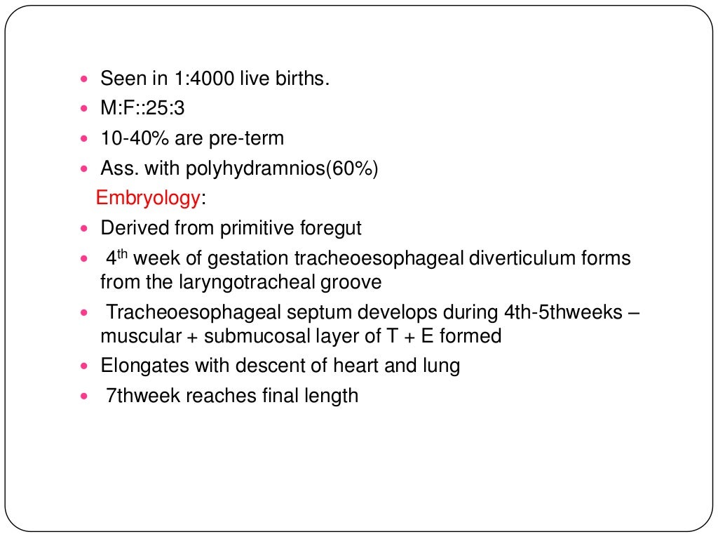 Anatomy of tracheobronchial tree