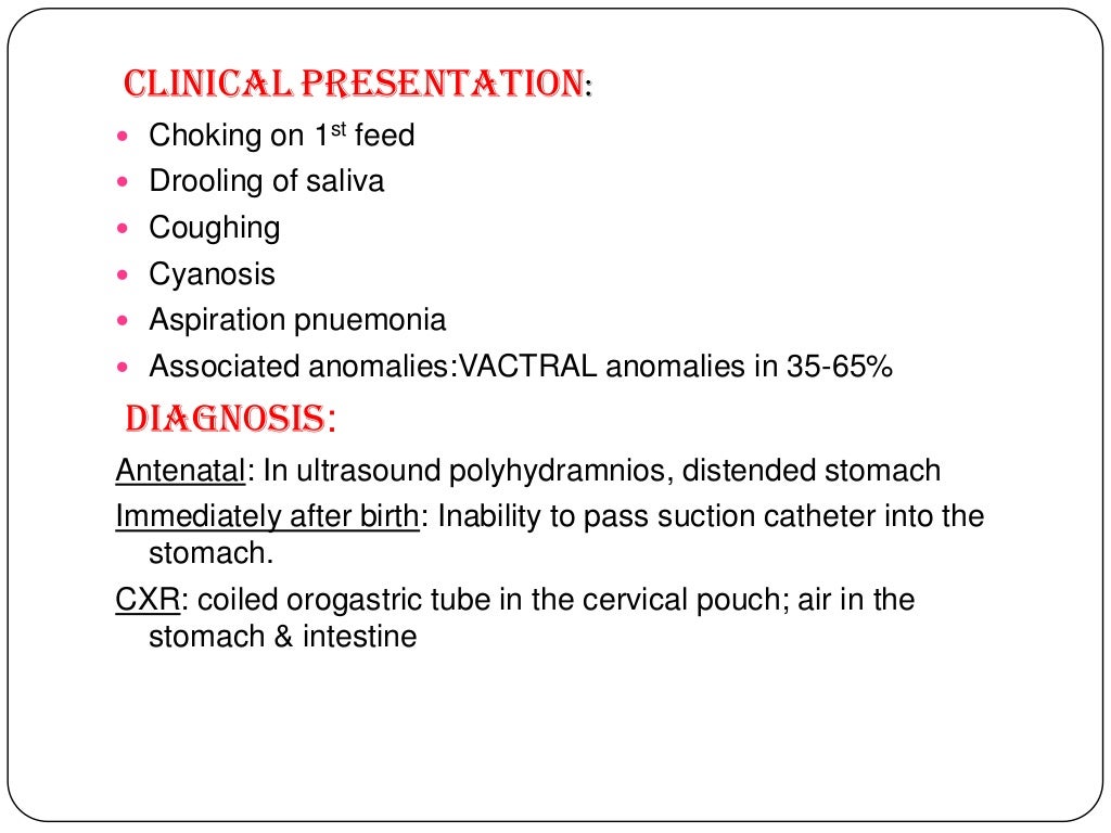 Anatomy of tracheobronchial tree