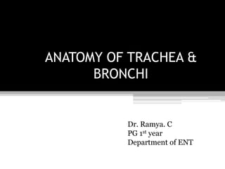 ANATOMY OF TRACHEA &
BRONCHI
Dr. Ramya. C
PG 1st year
Department of ENT
 