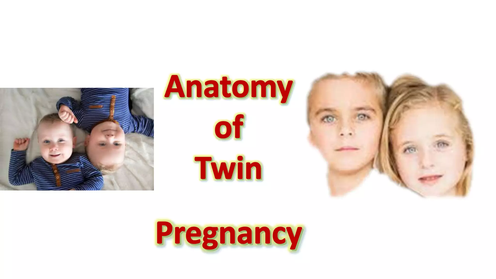Anatomy of twin pregnancy | PPTX
