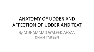 ANATOMY OF UDDER AND
AFFECTION OF UDDER AND TEAT
By MUHAMMAD WALEED AHSAN
KHAN TAREEN
 