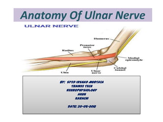 Anatomy Of Ulnar Nerve




      BY: SYED IRSHAD MURTAZA
            TRAINEE TECH
          NEUROPHYSIOLOGY
                AKUH
              KARACHI

          Date: 30-05-2012
 