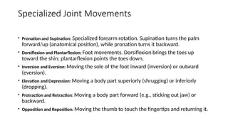 Comprehensive Human Upper Limb Anatomy and Clinical Insights | PPTX