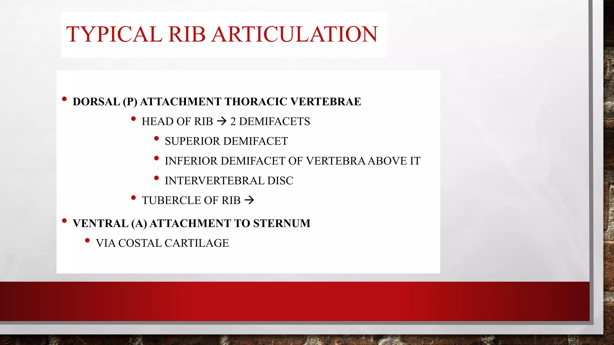 Post Rib Attachment Anatomy of upper limb | PPTX
