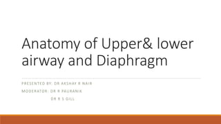 Anatomy of Upper& lower
airway and Diaphragm
PRESENTED BY: DR AKSHAY R NAIR
MODERATOR: DR R PAURANIK
DR R S GILL
 