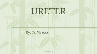 URETER
By. Dr. Vineeta
DR. VINEETA
 