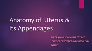 Anatomy of Uterus &
its Appendages
DR. SRAVANI KOMMURU,1ST YR PG
DEPT OFOBSTETRICS &GYNAECOLOGY
NRIIMS
 