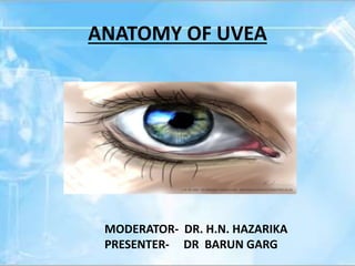 ANATOMY OF UVEA
MODERATOR- DR. H.N. HAZARIKA
PRESENTER- DR BARUN GARG
 