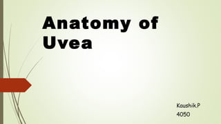 Anatomy of
Uvea
Kaushik.P
4050
 