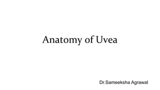 Anatomy of Uvea
Dr.Sameeksha Agrawal
 