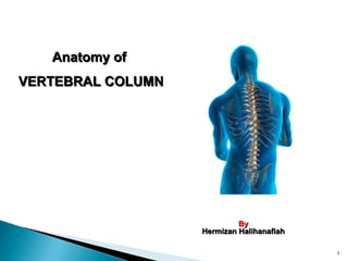 1
Anatomy ofAnatomy of
VERTEBRAL COLUMNVERTEBRAL COLUMN
ByBy
Hermizan HalihanafiahHermizan Halihanafiah
 