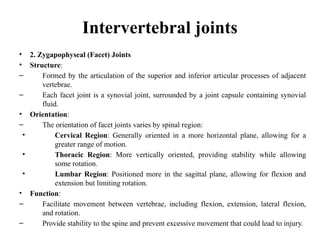 Anatomy of vertebral column for BAMS 1st.pptx