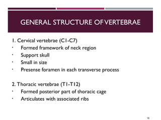 Anatomy of Vertebral Column and Spinal Cord.ppt