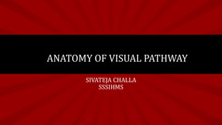 SIVATEJA CHALLA
SSSIHMS
ANATOMY OF VISUAL PATHWAY
 