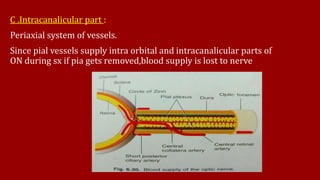 C .Intracanalicular part :
Periaxial system of vessels.
Since pial vessels supply intra orbital and intracanalicular parts of
ON during sx if pia gets removed,blood supply is lost to nerve
 